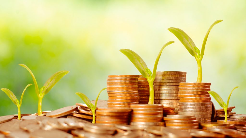 Geld-groeien-economie-greenport-duin-en-bollenstreek