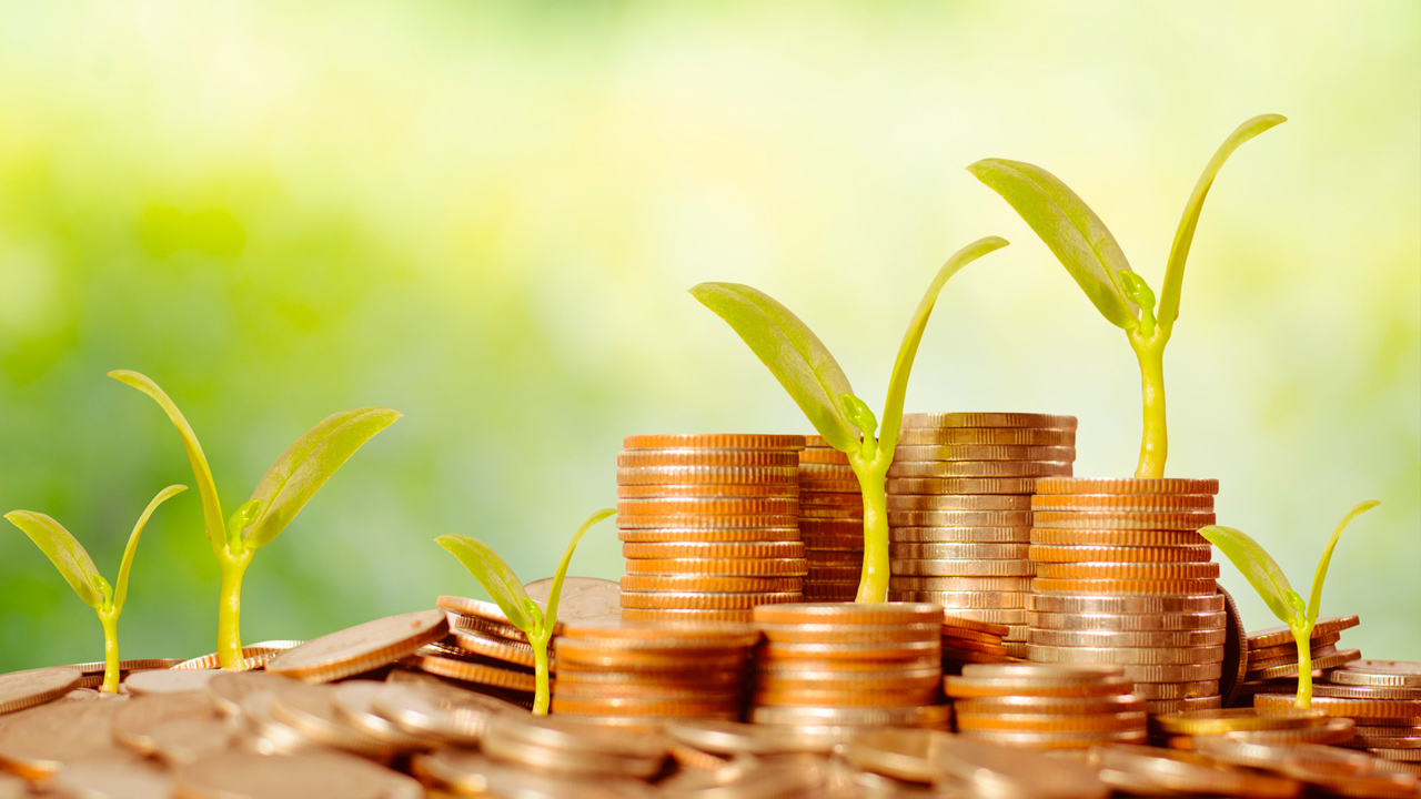 Geld-groeien-economie-greenport-duin-en-bollenstreek