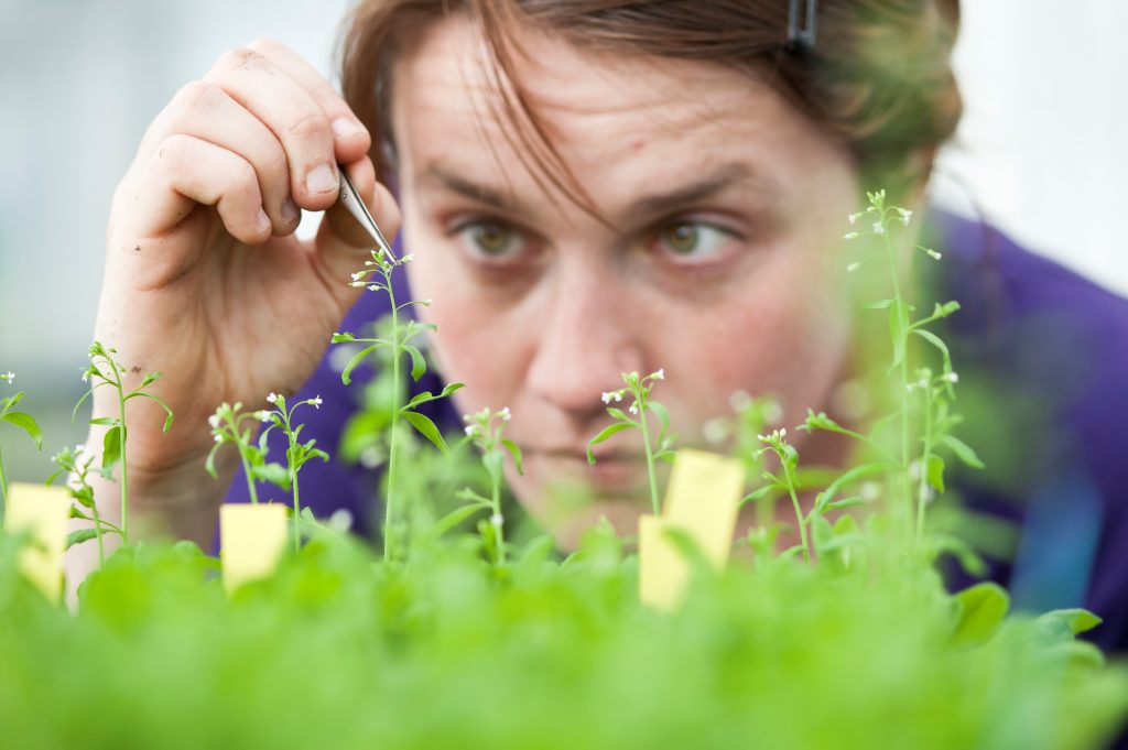 Flower-science-greenport-duin-en-bollenstreek