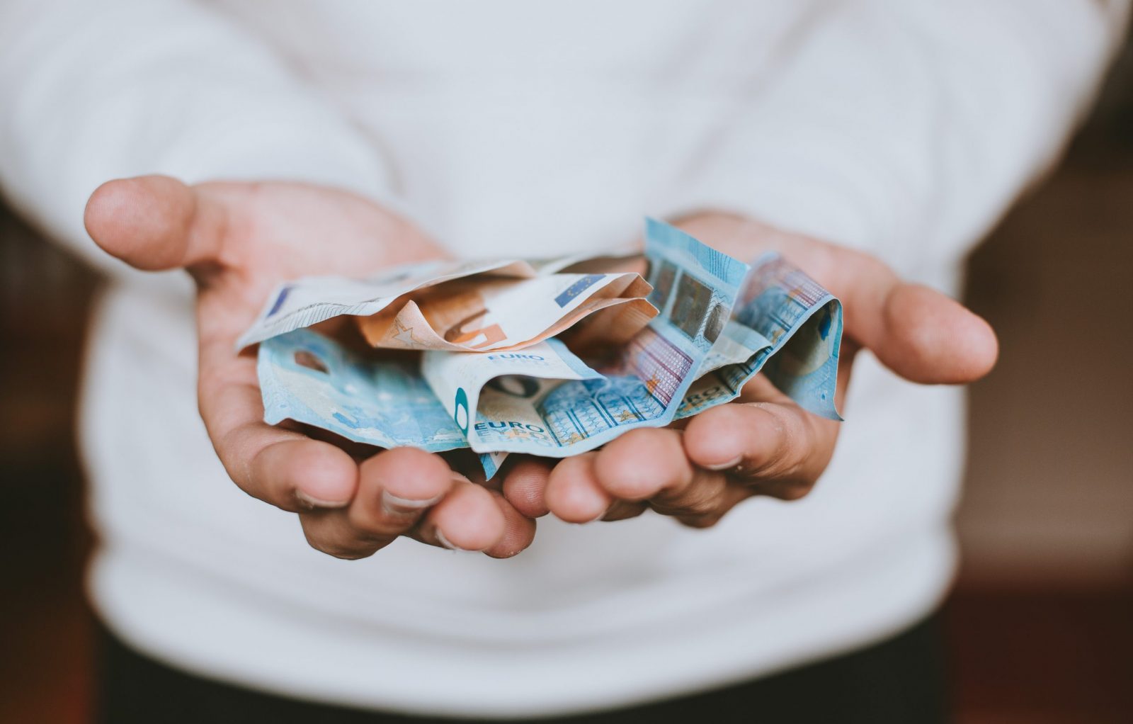 geld-subsidie-overheid-greenport-duin-en-bollenstreek