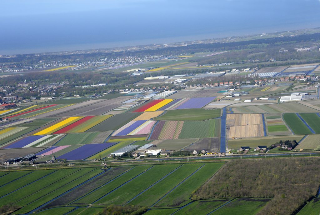 Greenport Duin- en Bollenstreek