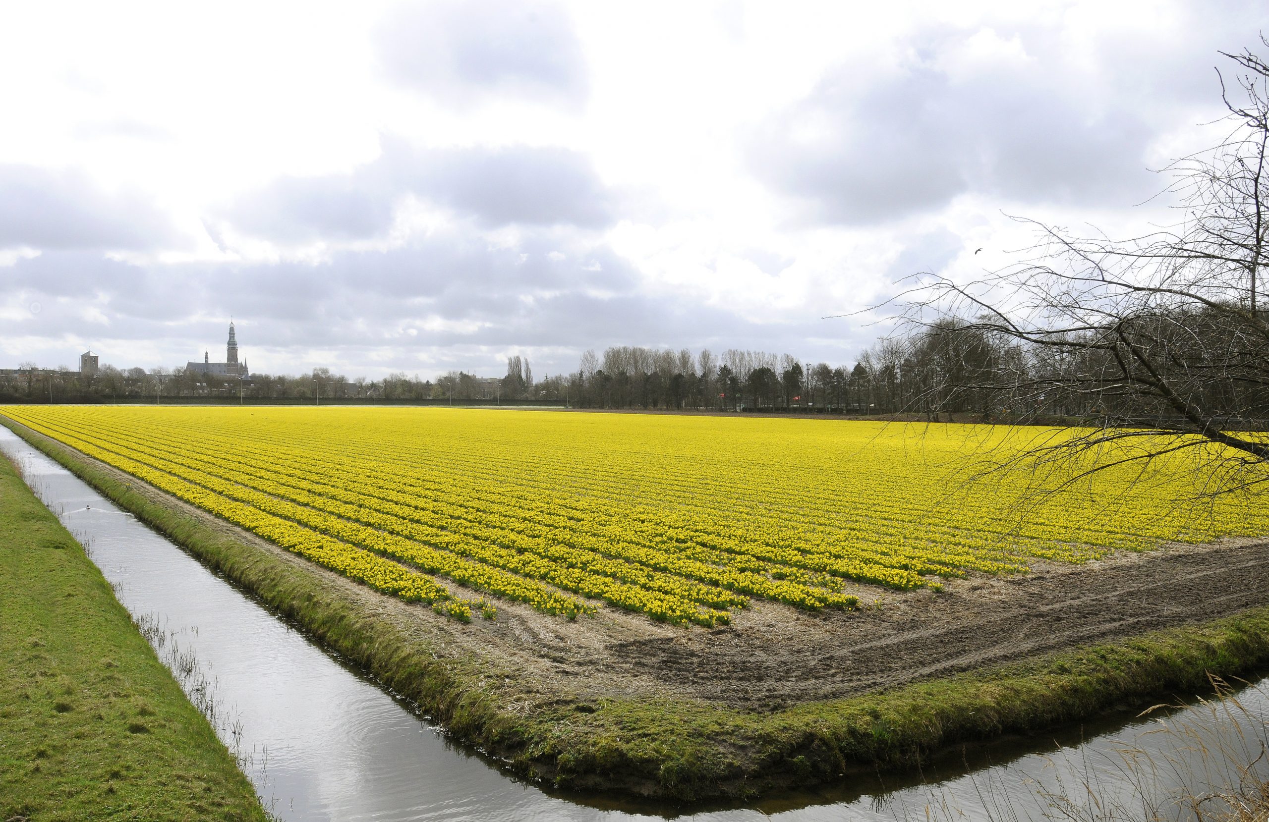 Demonstratiedag bij JUB Holland over project vanuit BOLDER