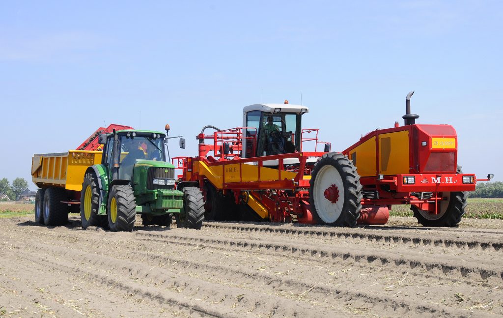 Bloembollen-greenport-duin-en-bollenstreek