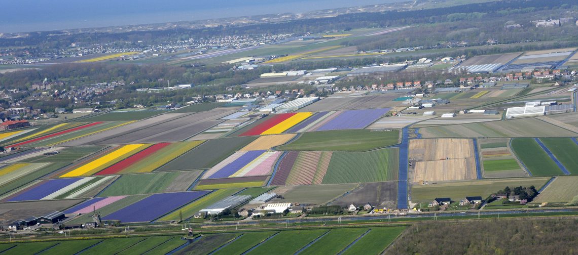 Bollenpolder-greenport-duin-en-bollenstreek