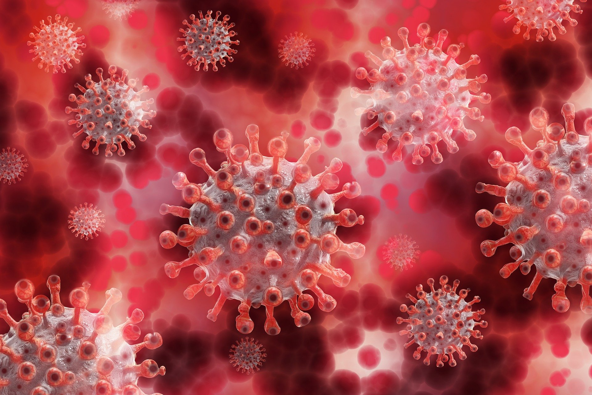 Corona-virus-covid-19-greenport-duin-en-bollenstreek