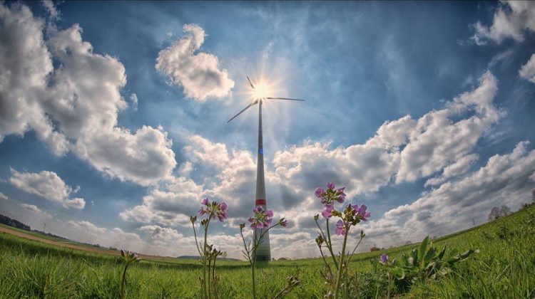 Duurzaamheid-klimaatneutraal-greenport-duin-en-bollenstreek
