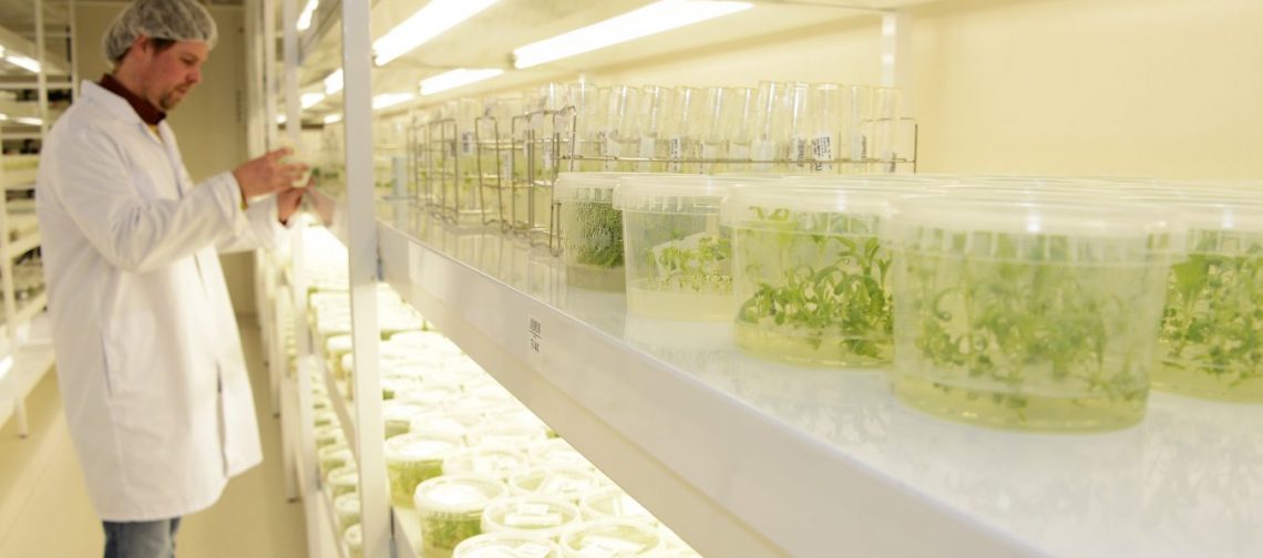 Fundamentele-systeemsprong-bollenteelt-greenport-duin-en-bollenstreek