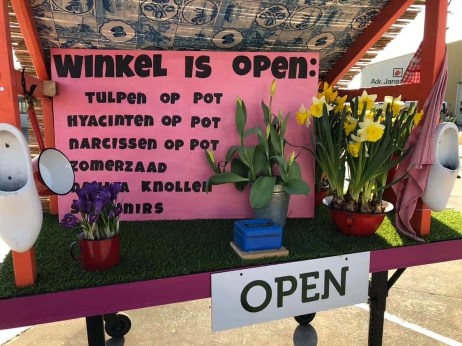 Tulpen-huisverkoop-greenport-duin-en-bollenstreek