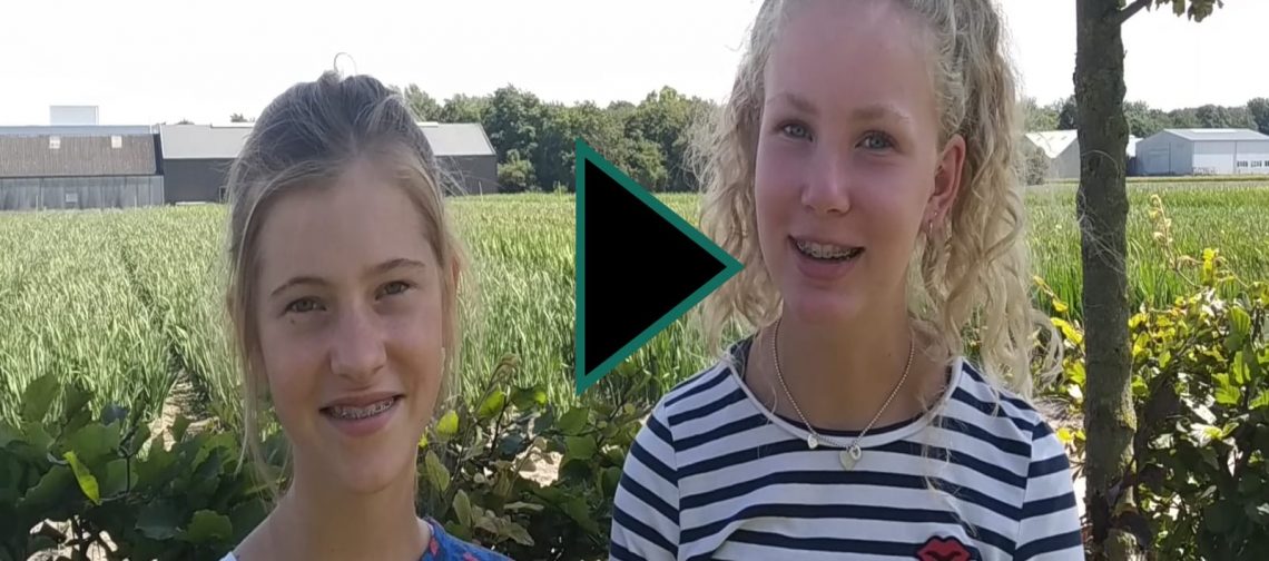 vlog-#uitjebloembol-greenport-stories