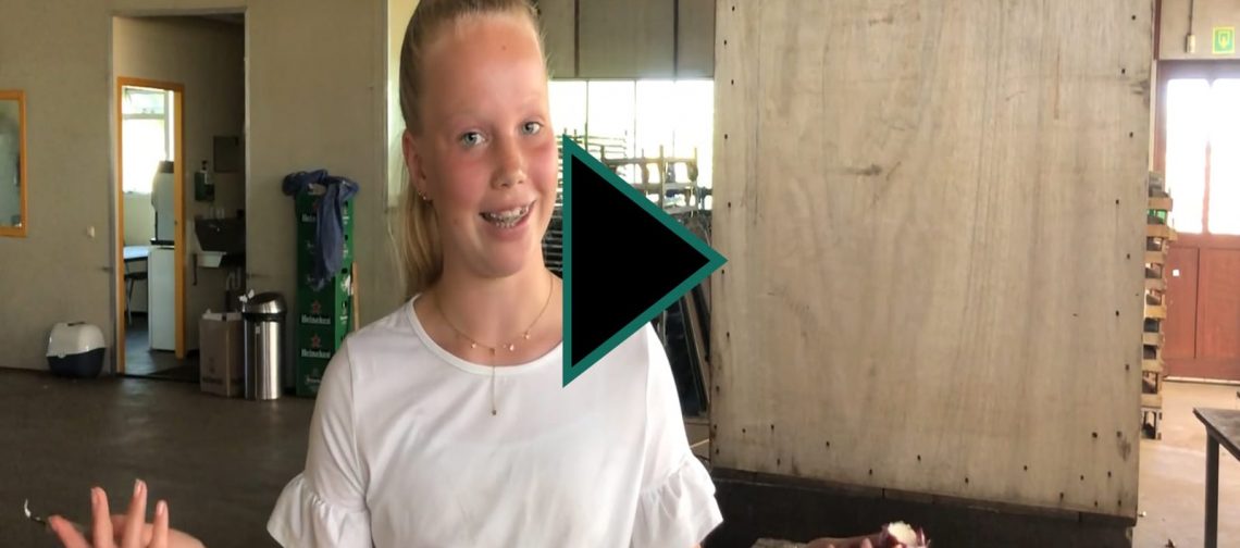 vlog-#uitjebloembol-greenport-stories