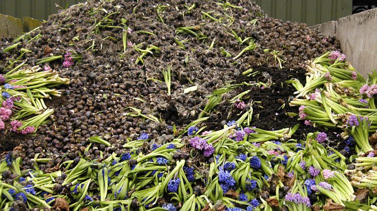 Reststromen-compost-greenportdb