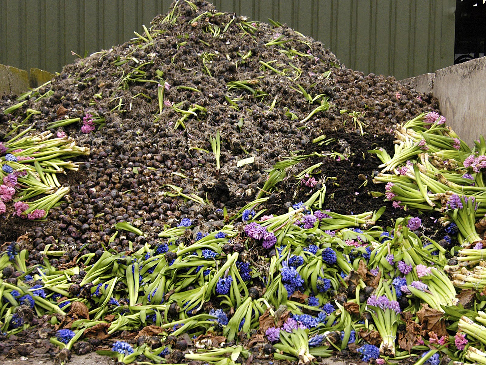 Reststromen-compost-greenportdb