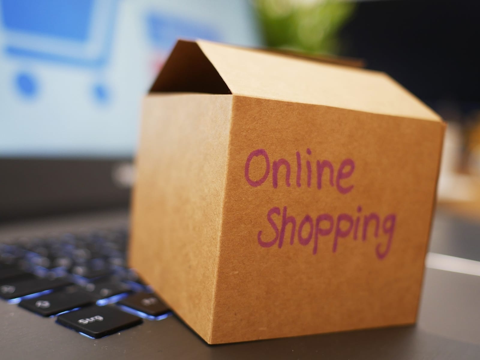 cursus-online-verkoop-greenport-duin-en-bollenstreek
