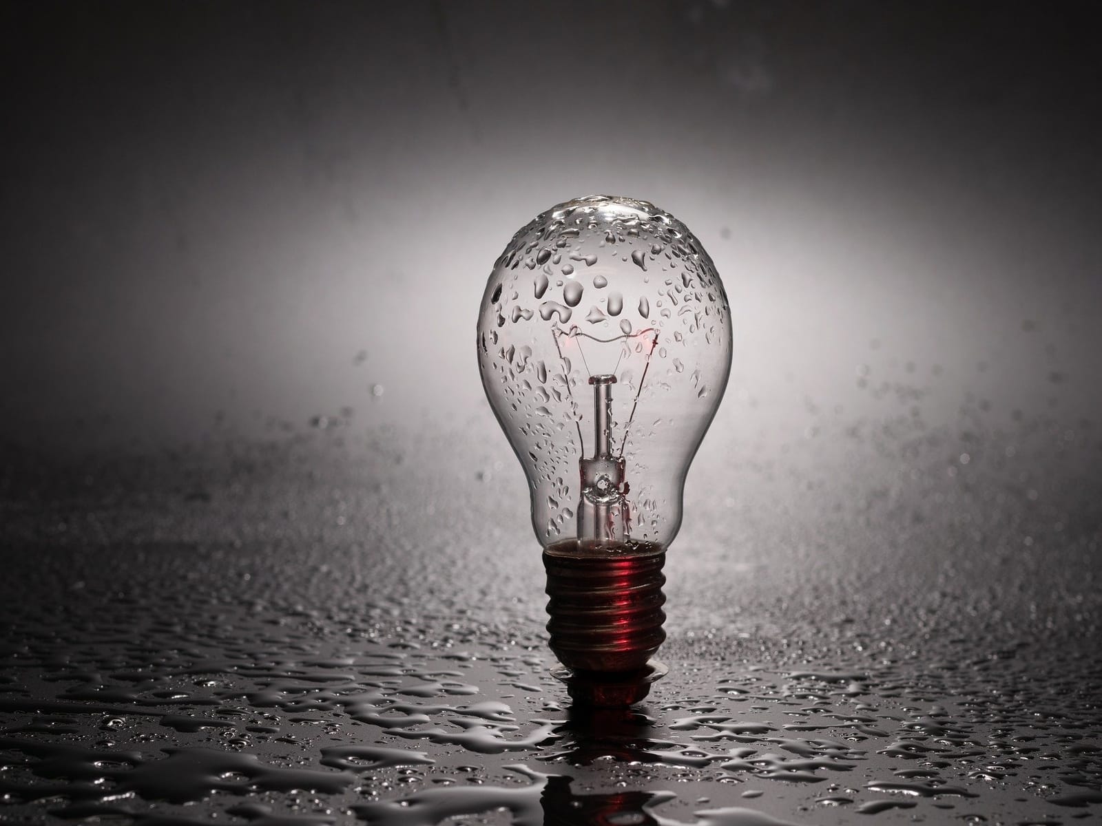 Lampen-uit-greenport-duin-en-bollenstreek