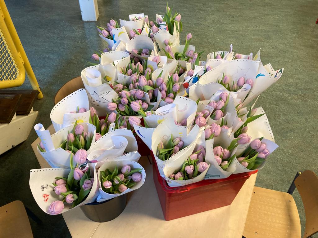 tulpen-ingepakt-klaar-voor-verkoop-tuinbouw-battle-greenport-duin-en-bollenstreek