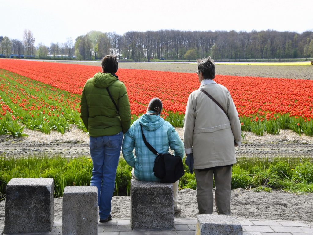 Bollenvelden-agrotoerisme-greenport-duin-en-bollenstreek