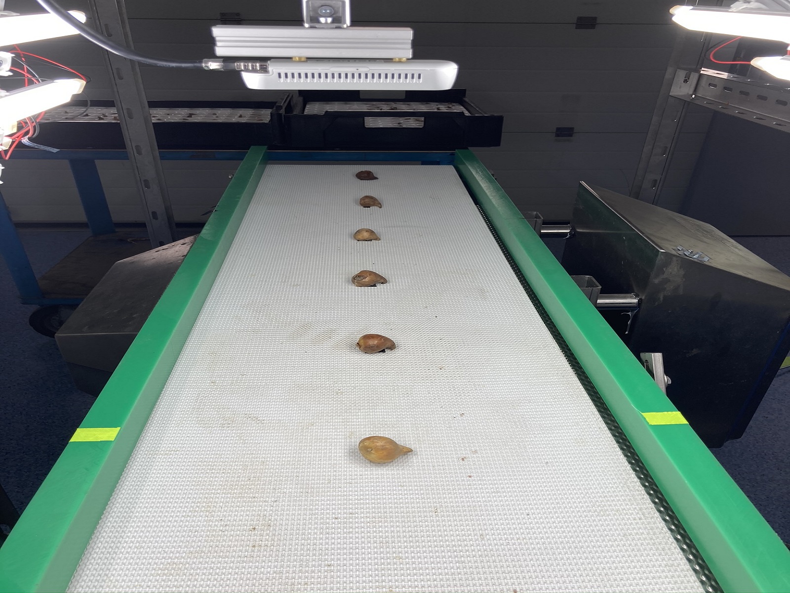 Bollen-onder-camera-pps-bollrevolutie-4.0-greenportdb