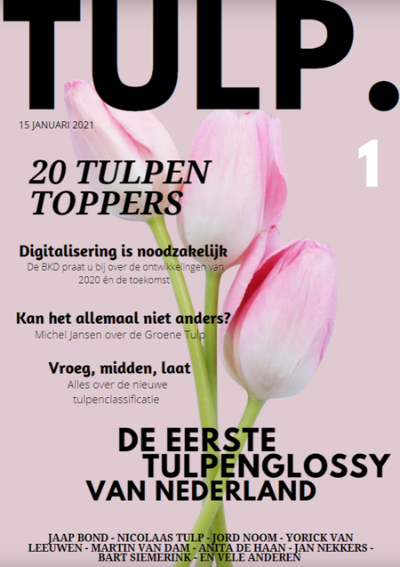 Glossy-TULP-greenport-duin-en-bollenstreek