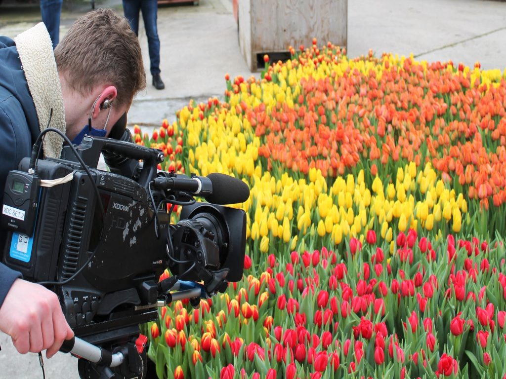 Nationale-Tulpendag-2021-greenport-duin-en-bollenstreek