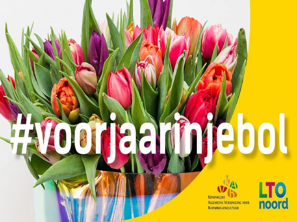 voorjaar-in-je-bol-greenport-duin-en-bollenstreek