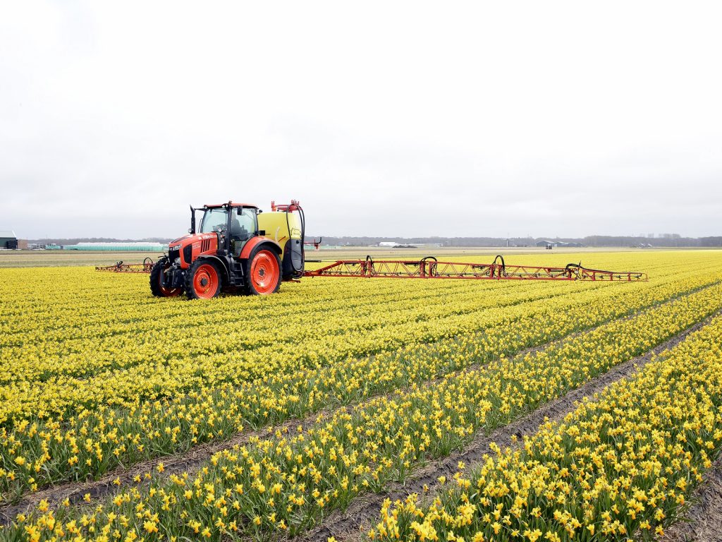 Gewasbeschermingsmiddelen-Narcis-greenport-duin-en-bollenstreek