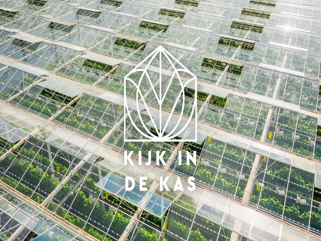 Kim-in-de-kas-greenport-duin-en-bollenstreek