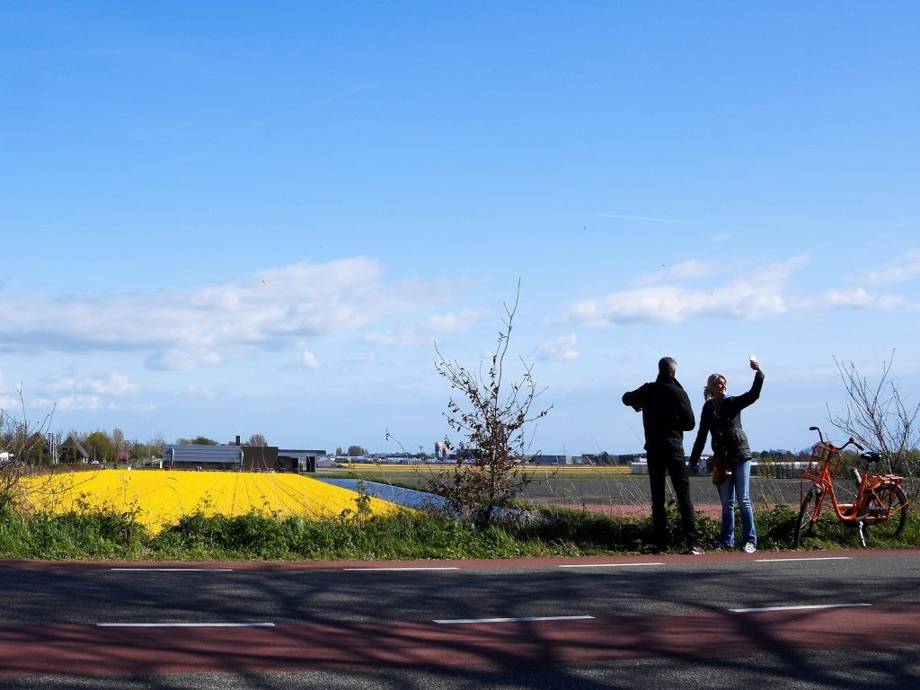 Bollenvelden-bloemenfeesten-greenport-duin-en-bollenstreek