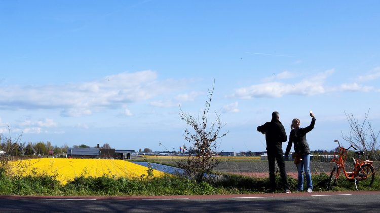Bollenvelden-bloemenfeesten-greenport-duin-en-bollenstreek