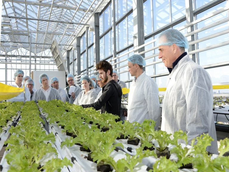 coachen-op-de-werkvloer-uitleg-greenport-duin-en-bollenstreek