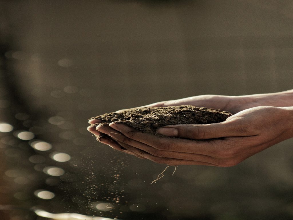 gratis-advies-talentboom-greenport-duin-en-bollenstreek