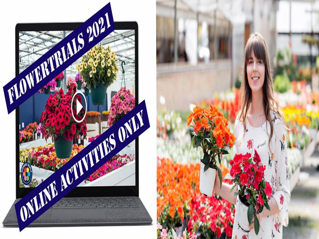 flowertrials-geannuleerd-2021-greenport-duin-en-bollenstreek