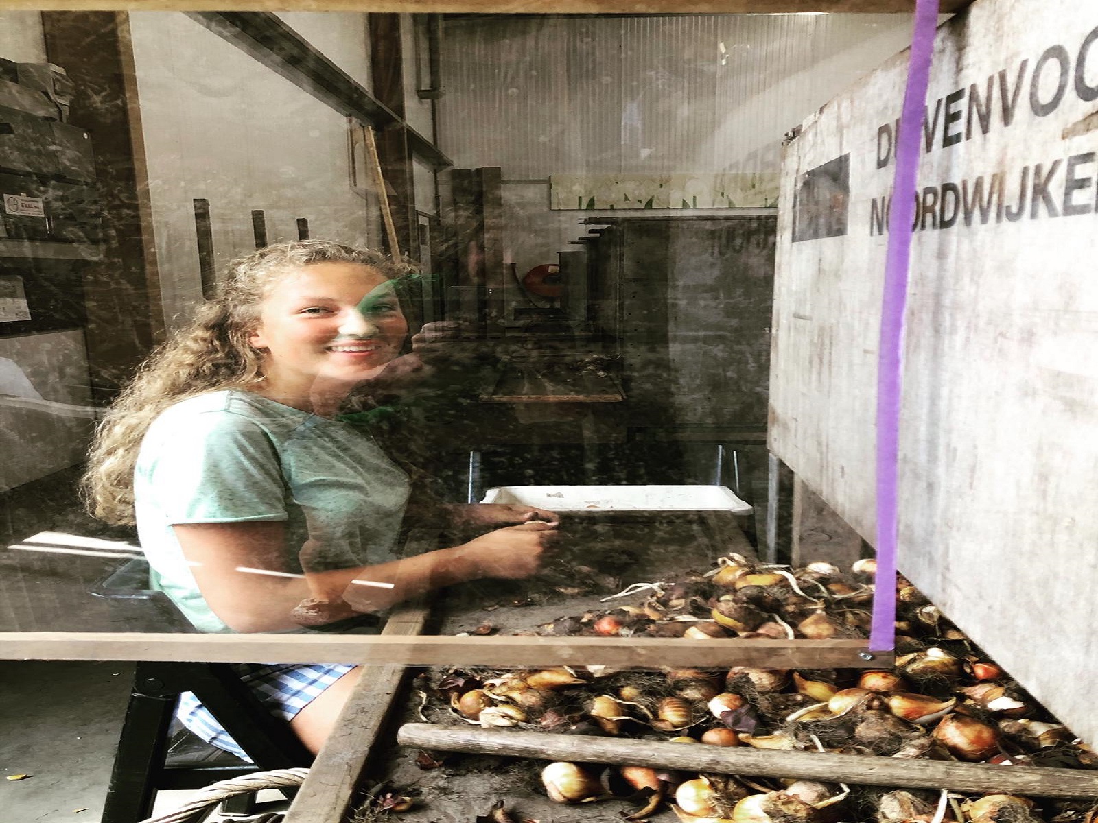 jongeren-zomervakantie-bijbaan-bollensector-greenport-duin-en-bollenstreek