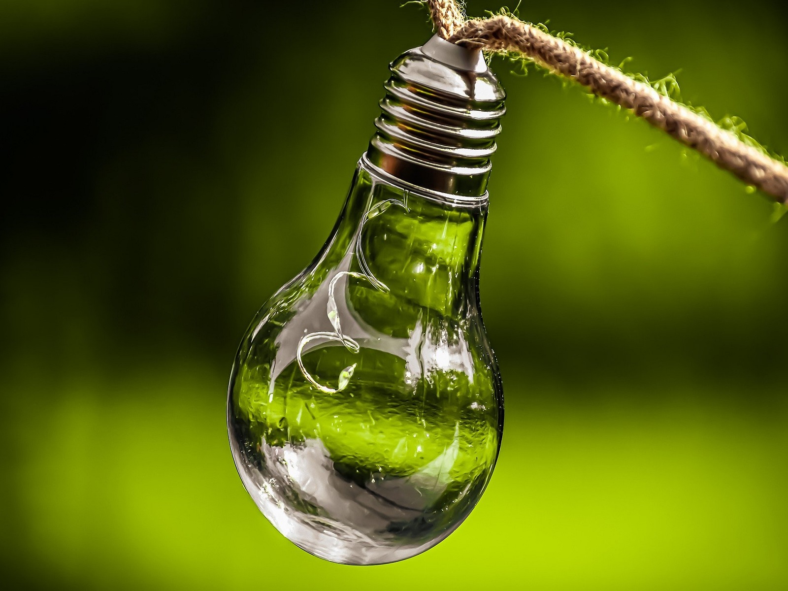 MIT-regeling-topsector-greenport-duin-en-bollenstreek