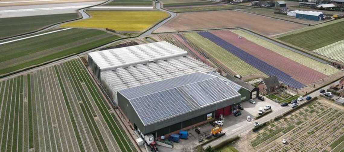 Van-der-Slot-in-het-zonnetje-greenport-duin-en-bollenstreek