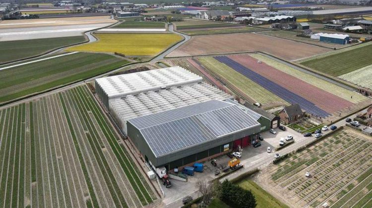 Van-der-Slot-in-het-zonnetje-greenport-duin-en-bollenstreek