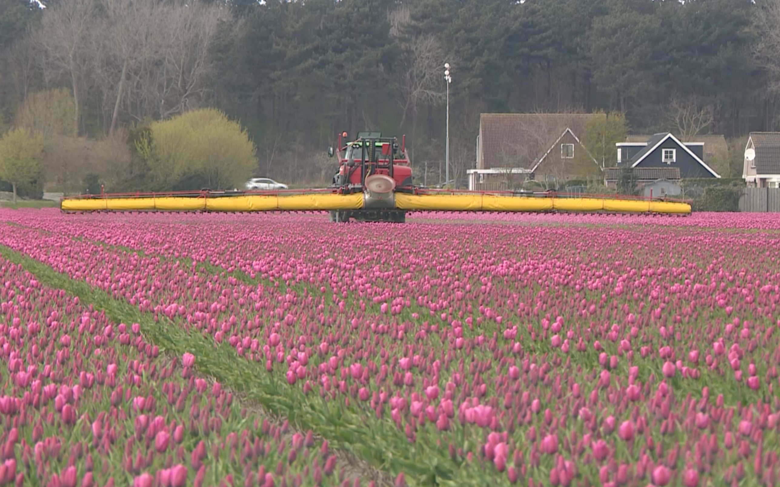 Telersbijeenkomst Spuittechnieken - GEANNULEERD