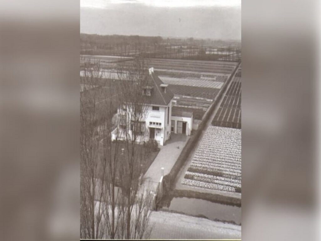 subsidie-aanplanten-hagen-duin-en-bollenstreek-greenport