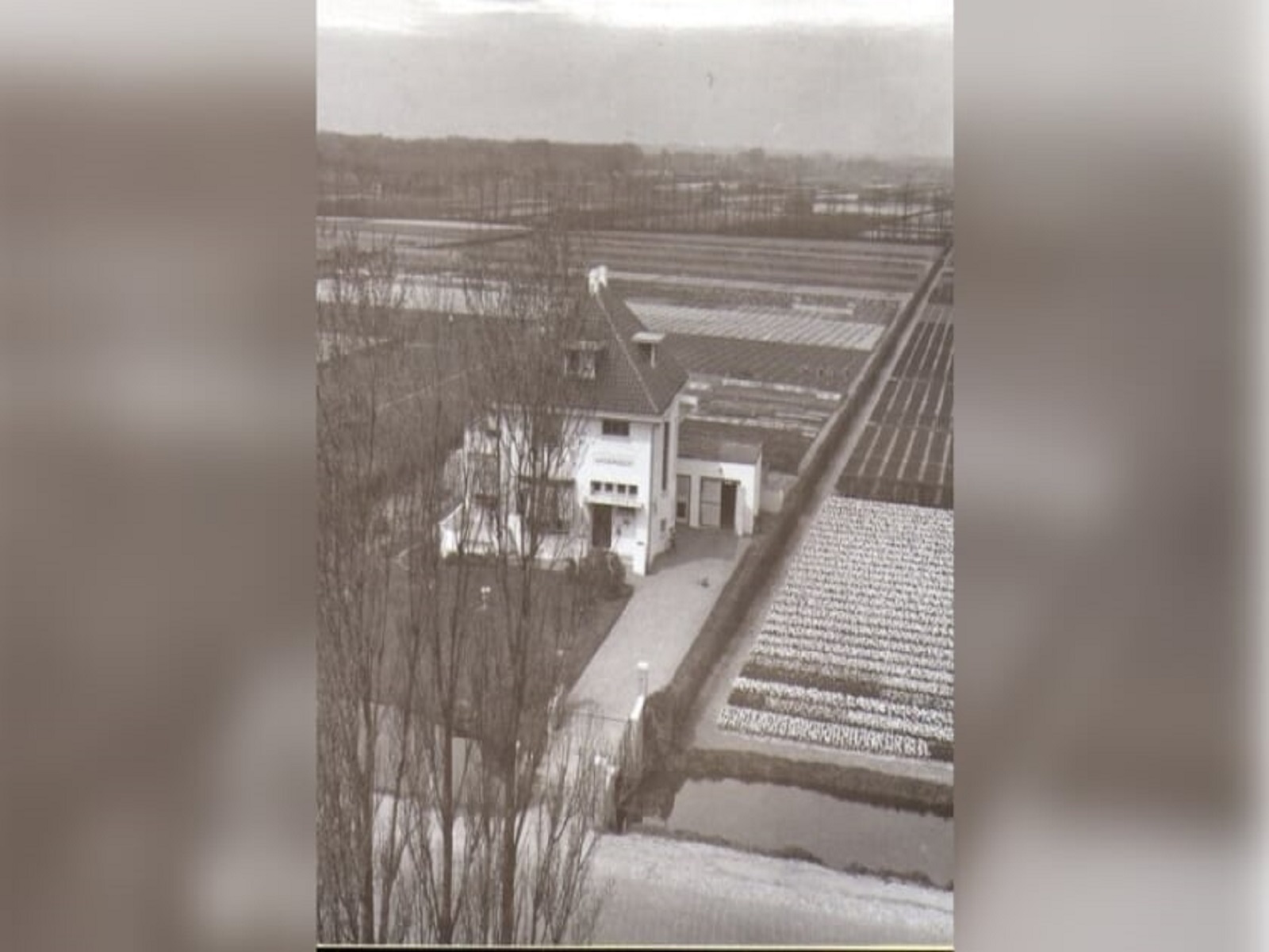 subsidie-aanplanten-hagen-duin-en-bollenstreek-greenport