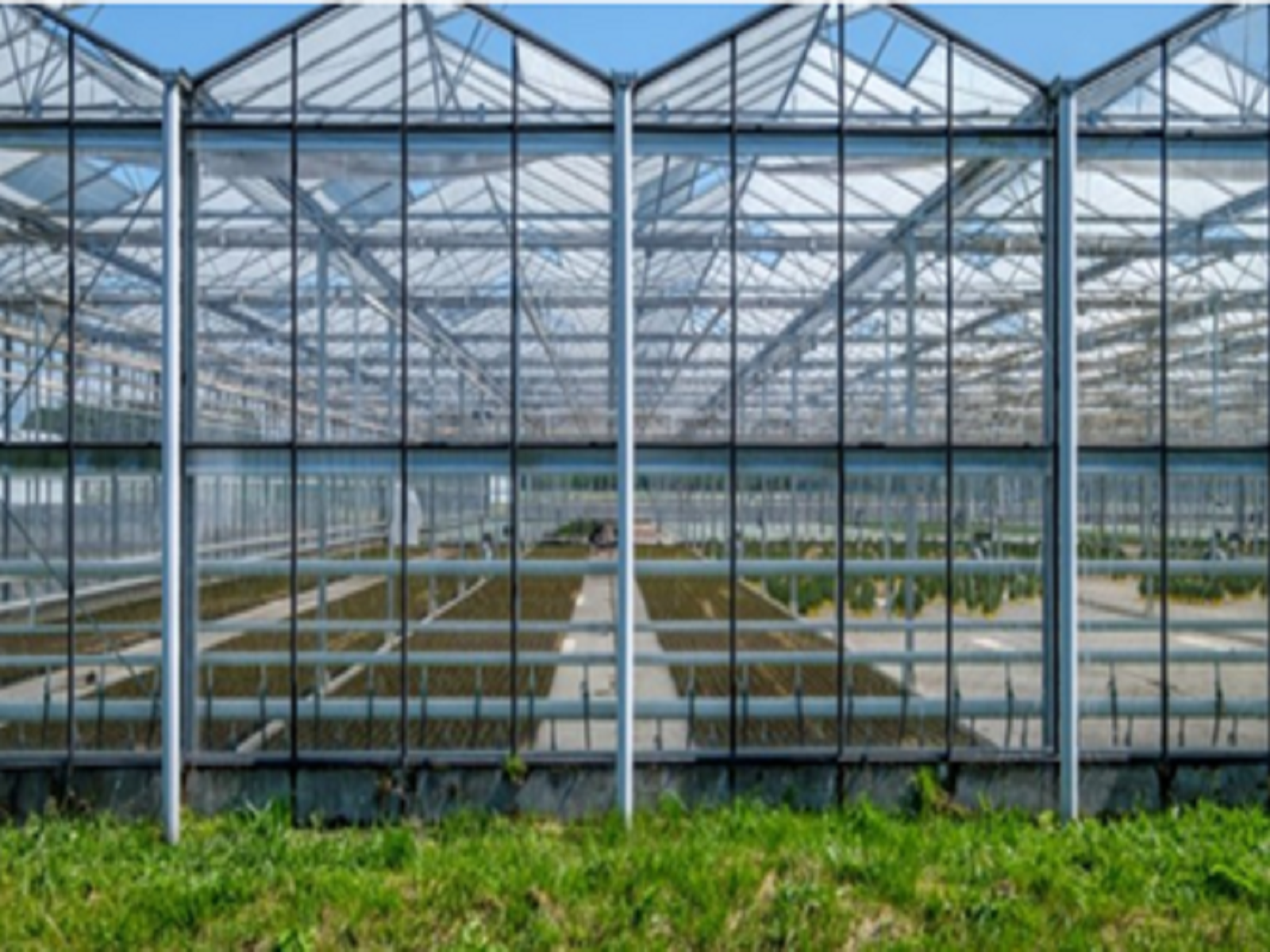 Online innovatiecafé 'circulariteit in de tuinbouw' Greenport Aalsmeer