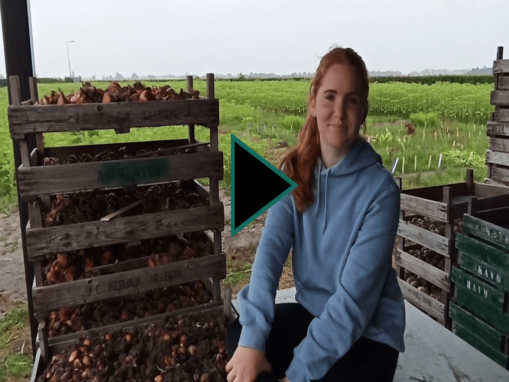 #uitjebloembol-elise-vlogserie-greenport-duin-en-bollenstreek