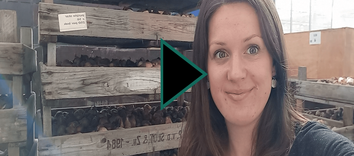 #uitjebloembol-dione-vlogserie-greenport-duin-en-bollenstreek