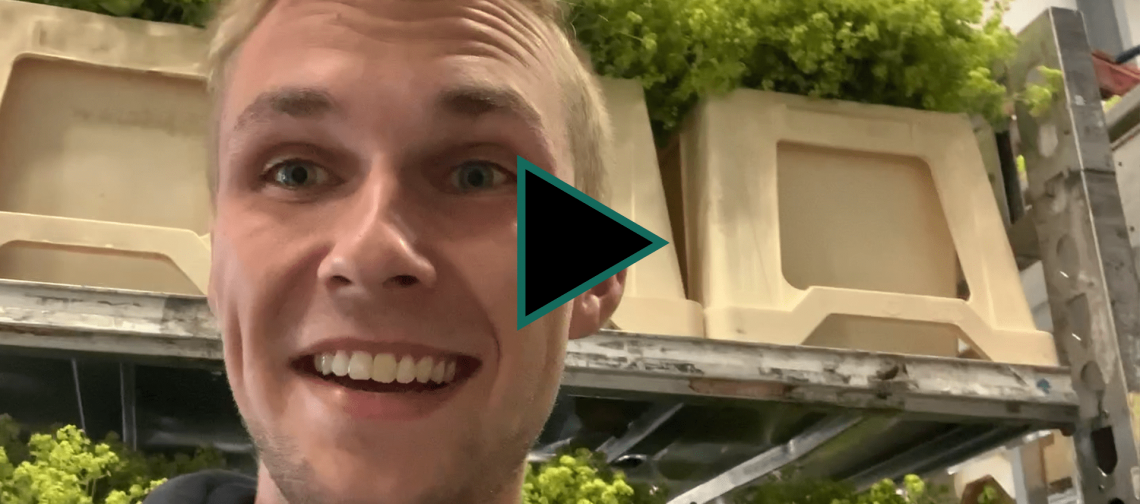 #uitjebloembol-thijs-vlogserie-greenport-duin-en-bollenstreek