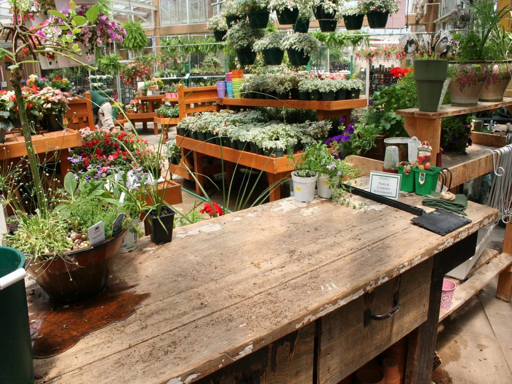 green-fund-onderwijs-greenport-duin-en-bollenstreek
