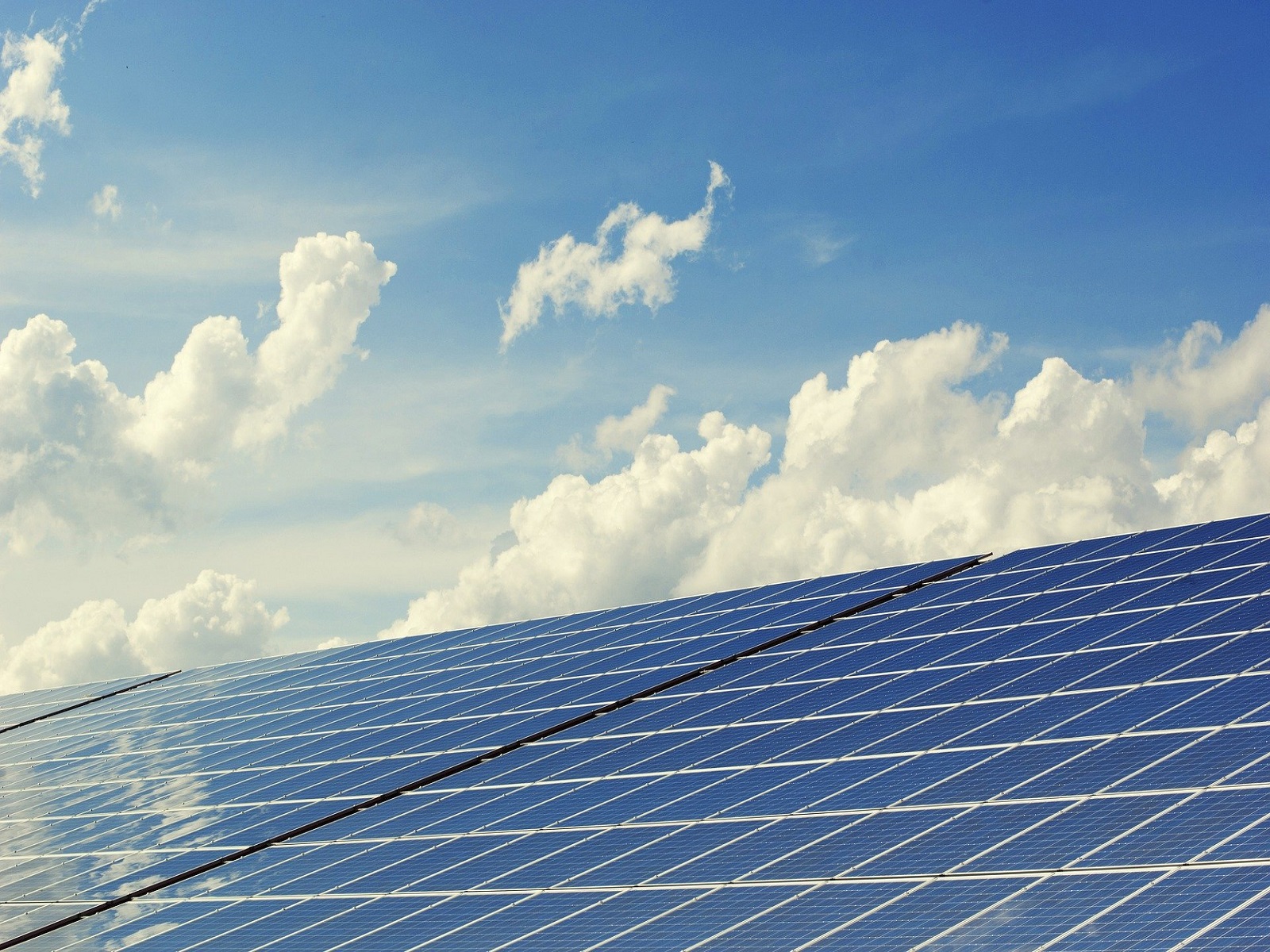 royal-de-ree-co2-neutraal-zonnepanelen