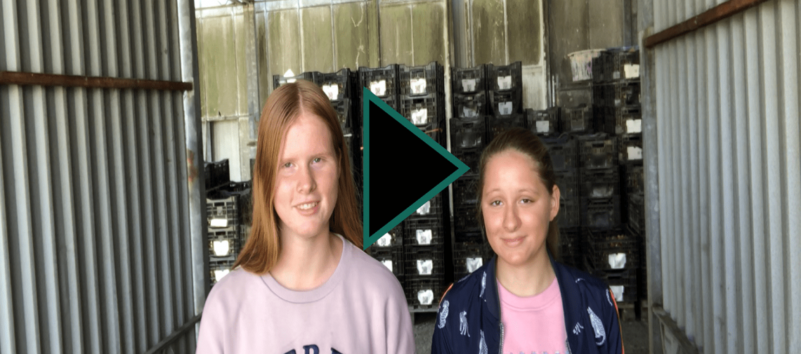 #uitjebloembol-natural-bulbs-vlogserie-greenport-duin-en-bollenstreek
