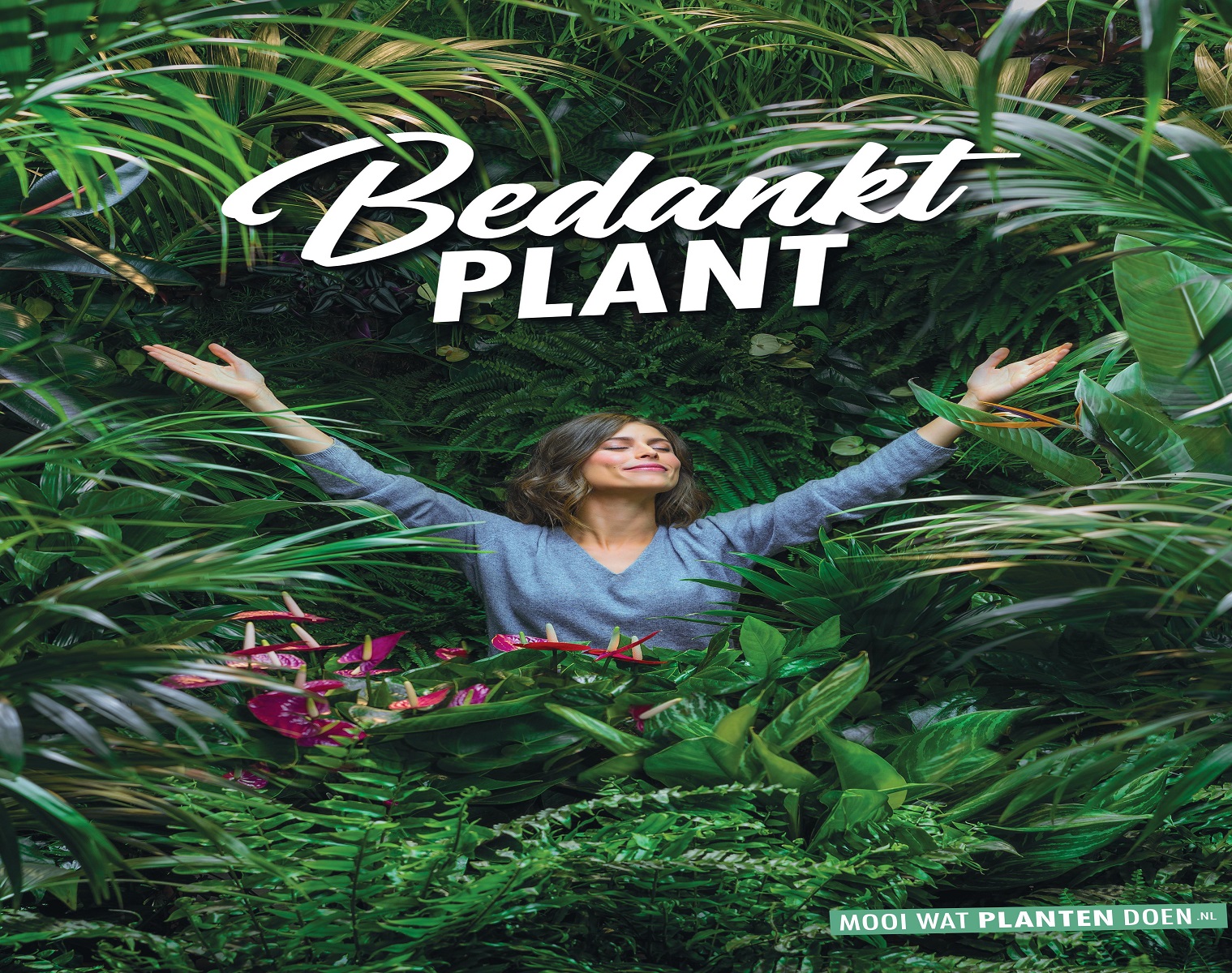 bedankt plant