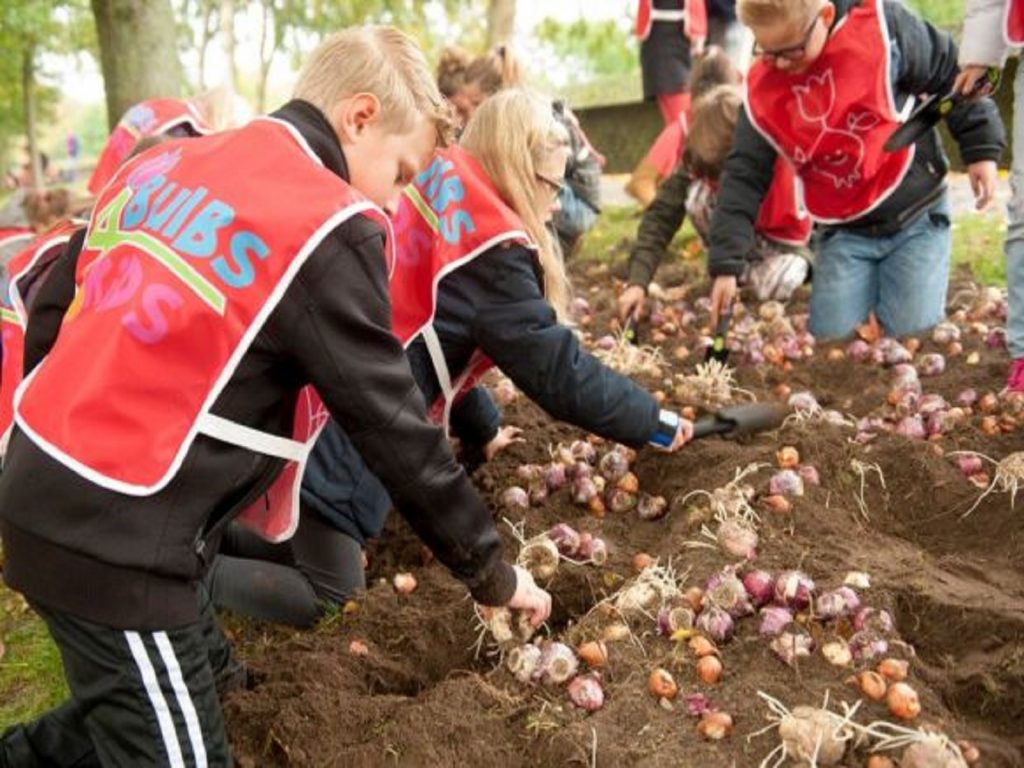 bulbs-for-kids-greenport