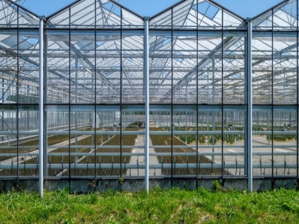 kassen-gp-aalsmeer-greenport-duin-en-bollenstreek