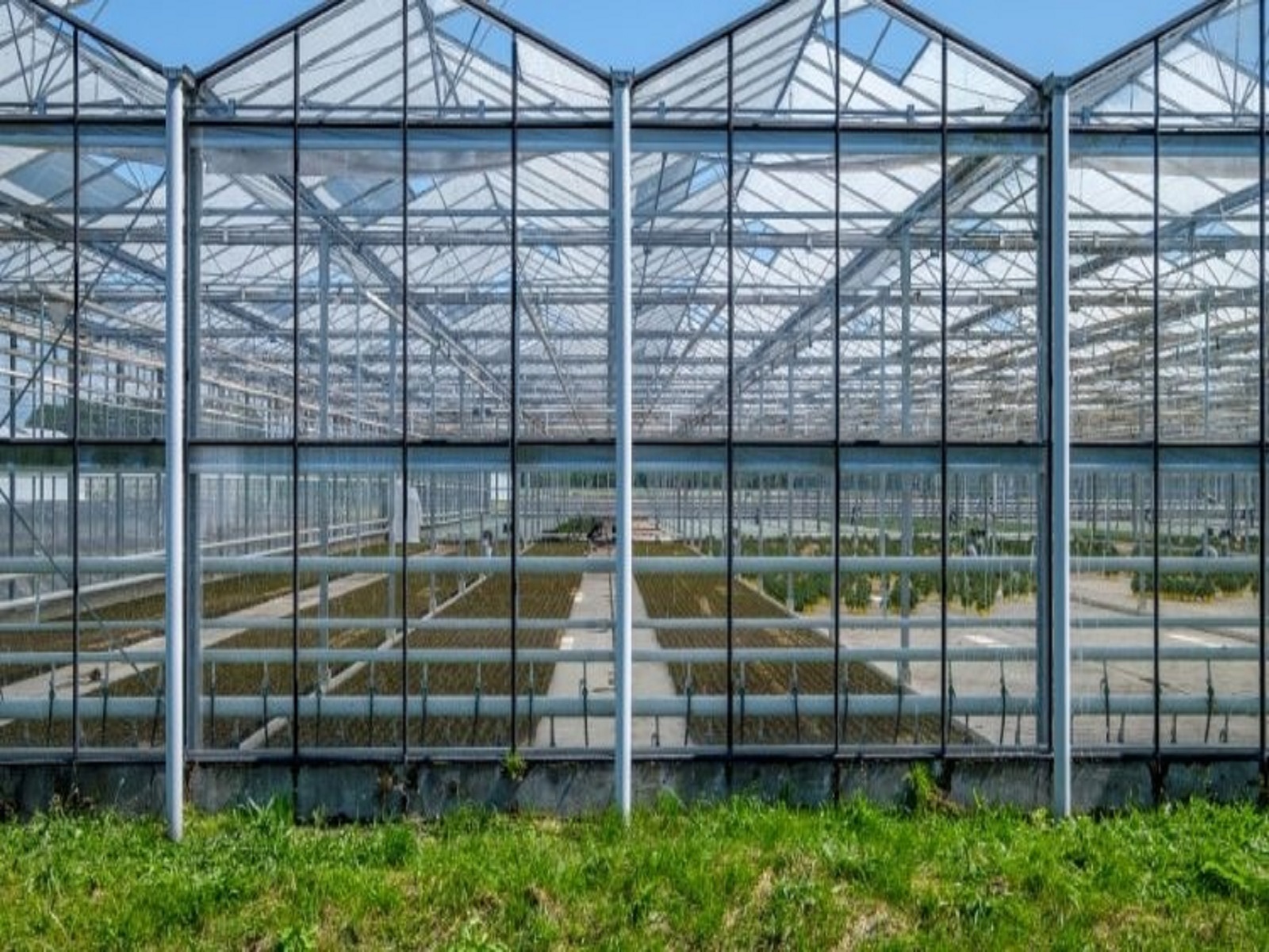 kassen-gp-aalsmeer-greenport-duin-en-bollenstreek