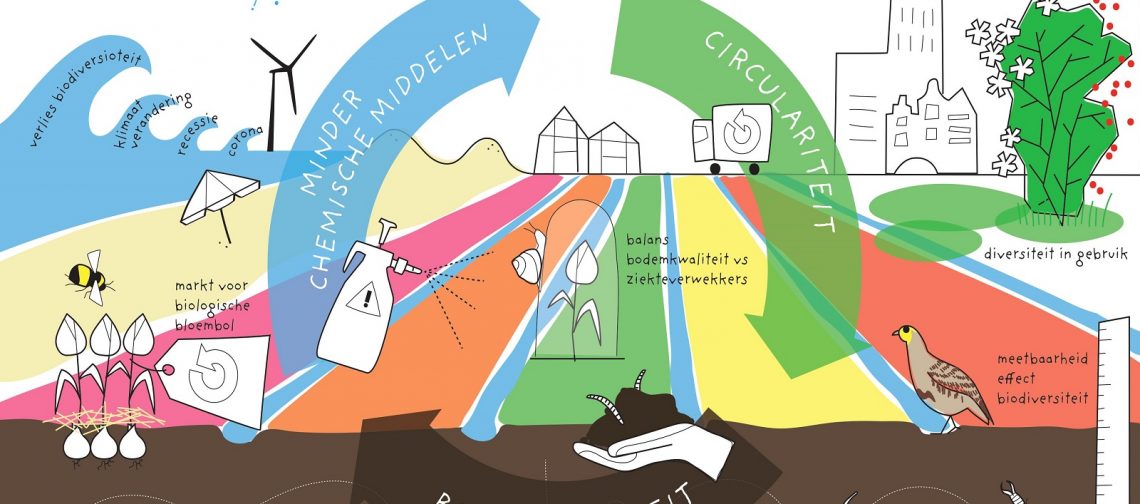 GPLIVE 16-12-21 - bollenteelt circulariteit en diversiteit.